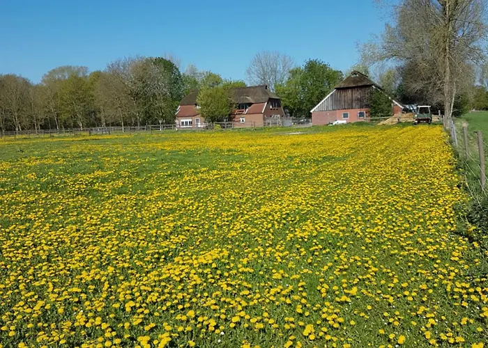 Ferienhof-Stoertebeker