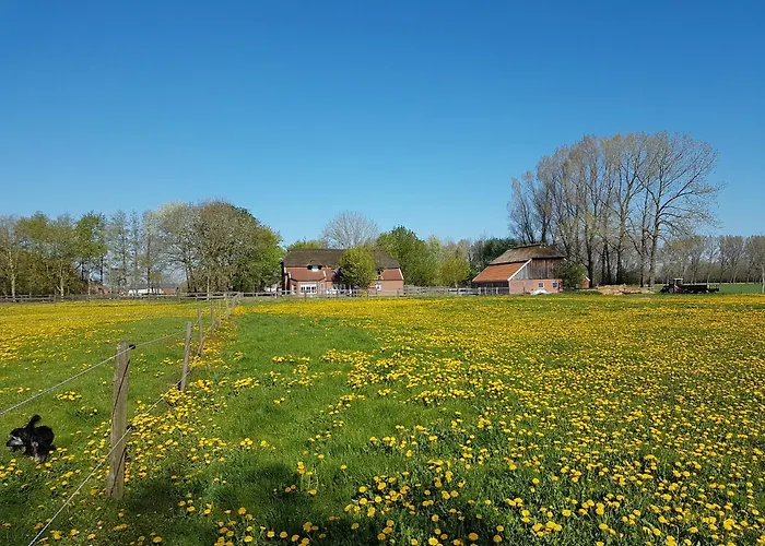 Ferienhof-Stoertebeker